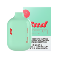 Bud (5000 Puffs) - Watermelon Mint