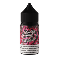 Hunting Cloudz Salts - Watermelon - Vapoureyes